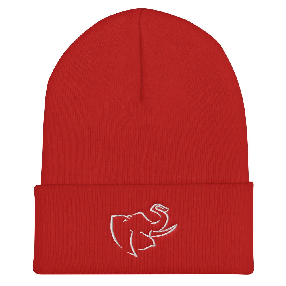 Hat/ Beanie