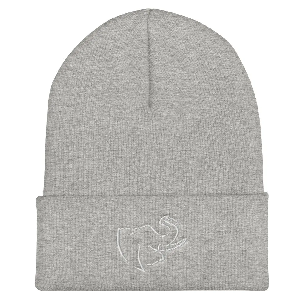 Hat/ Beanie