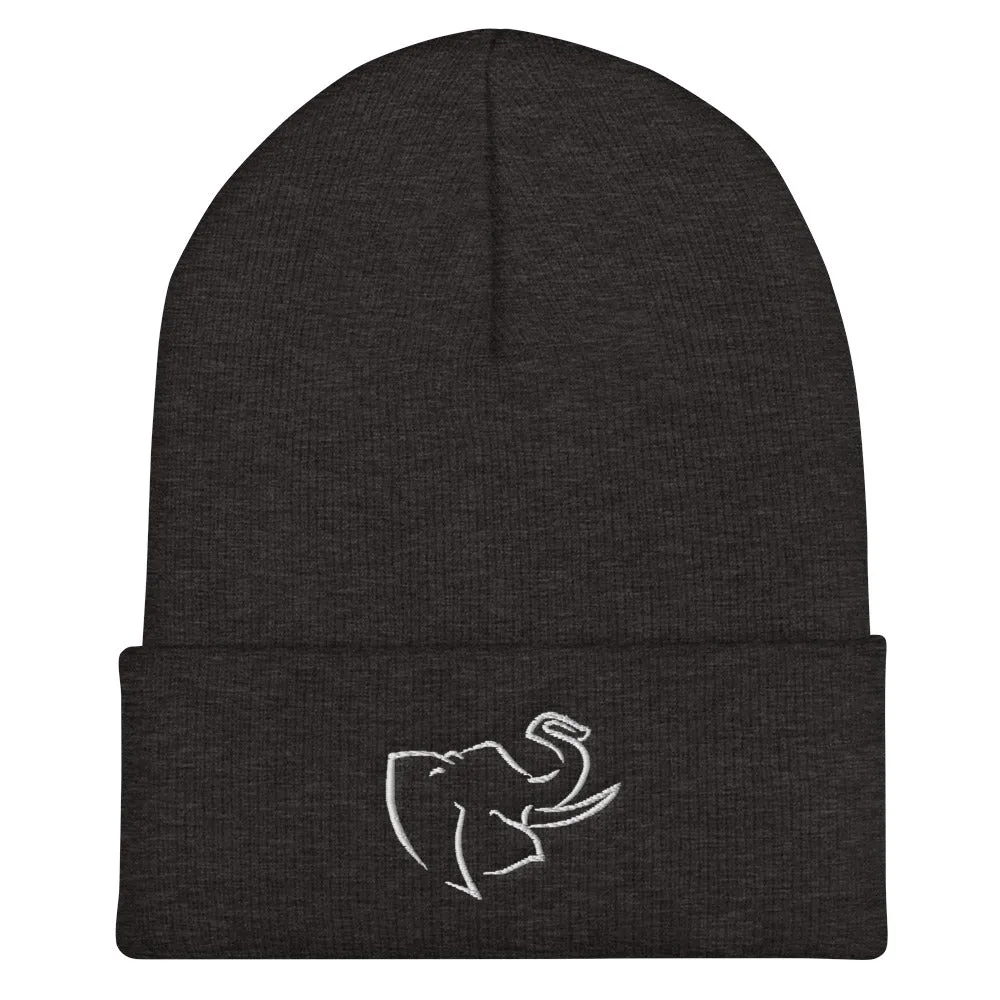 Hat/ Beanie
