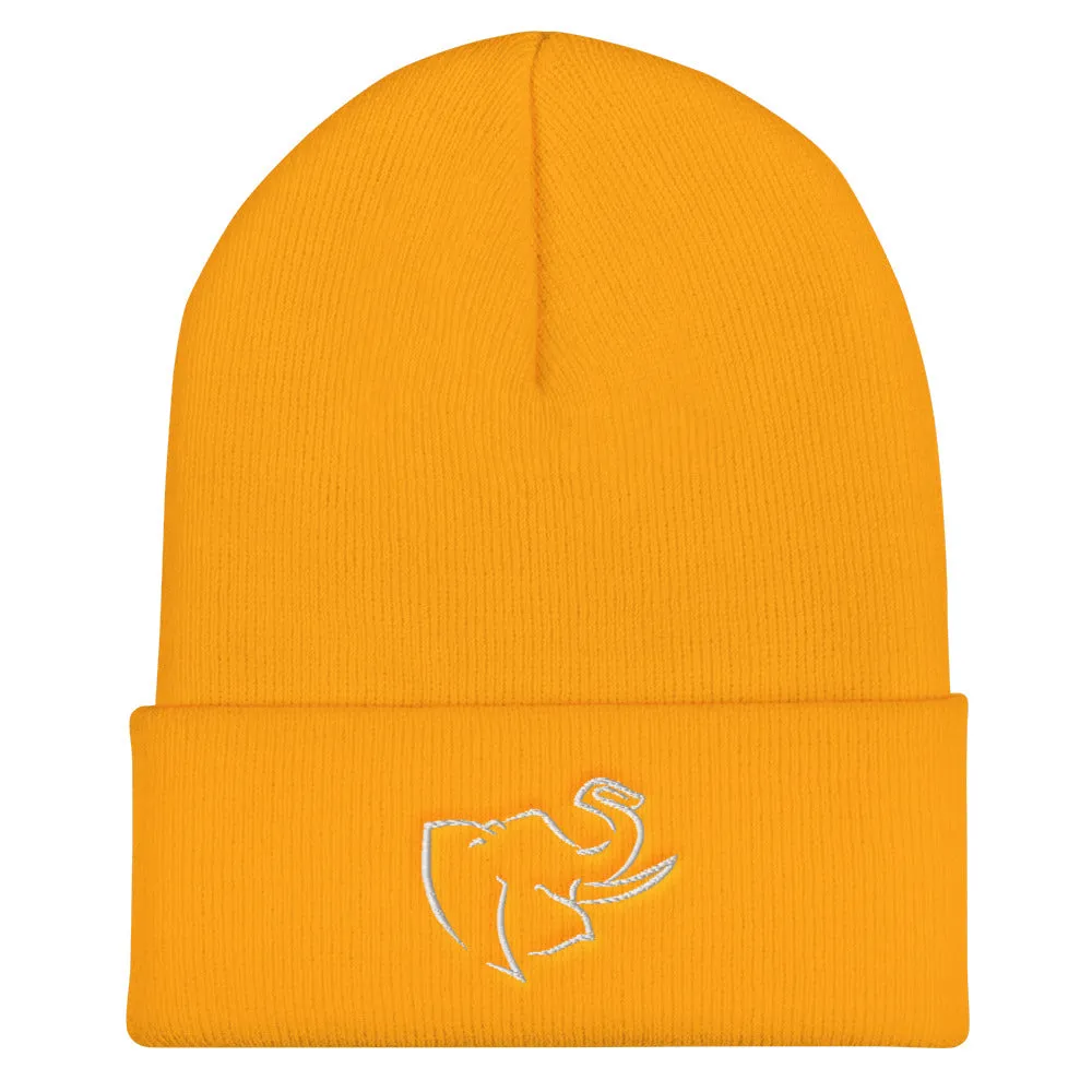 Hat/ Beanie