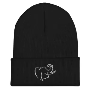 Hat/ Beanie