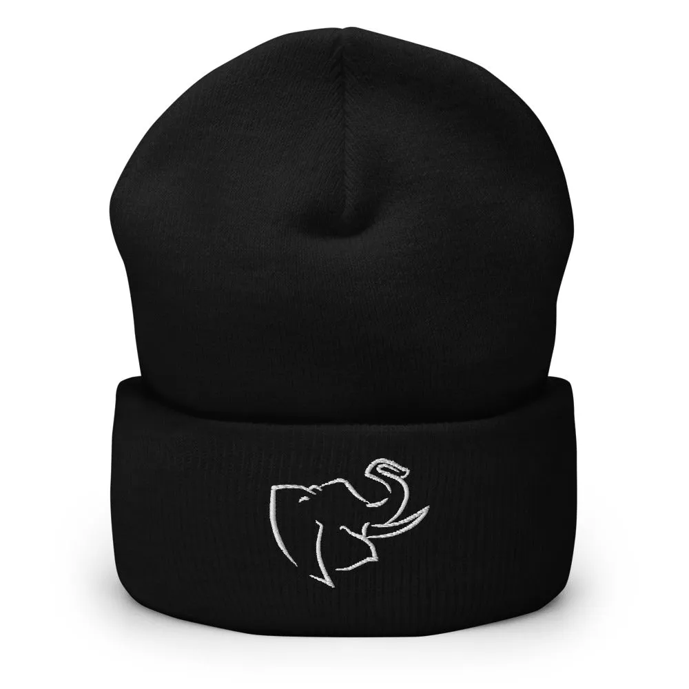 Hat/ Beanie