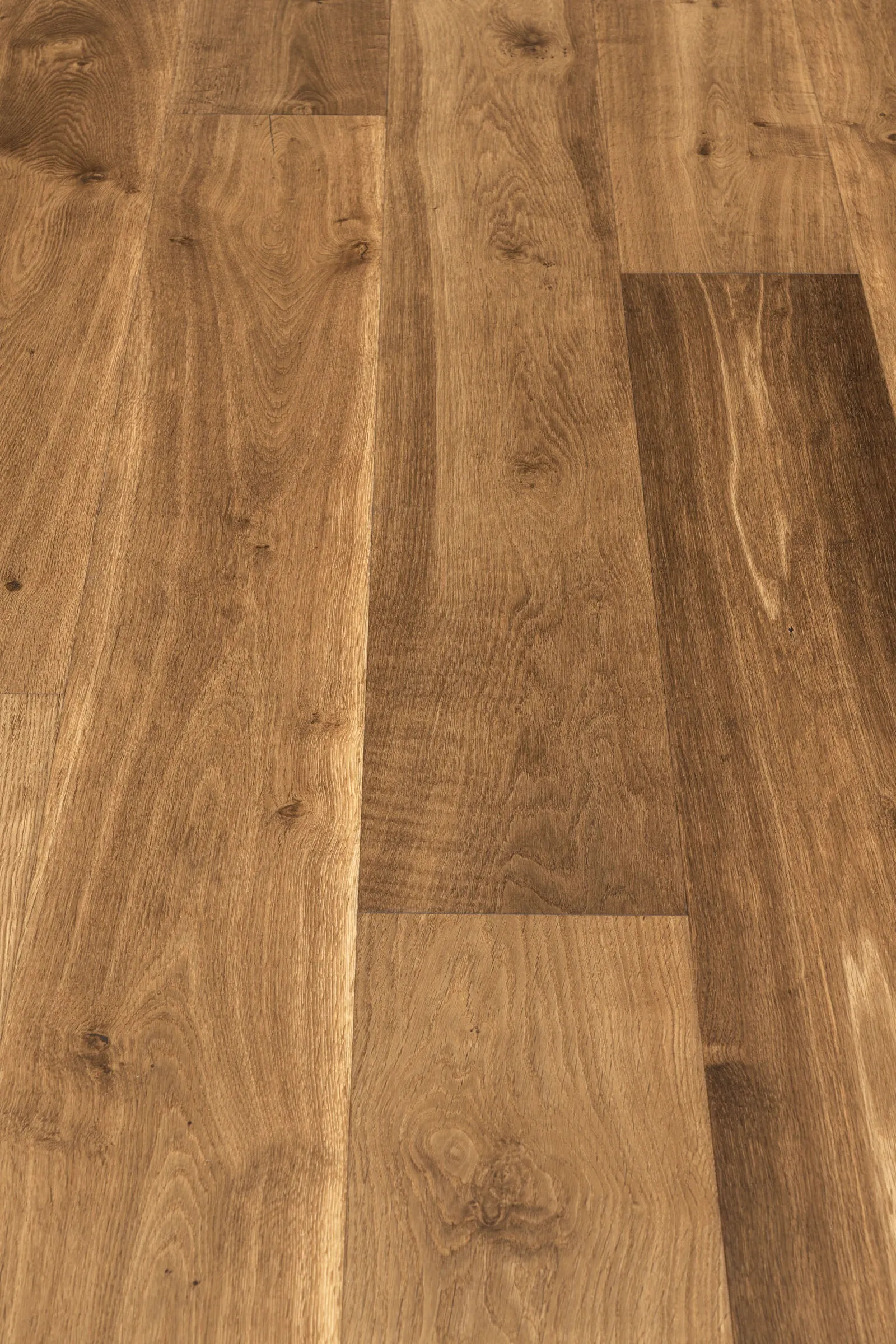 Pisa 260