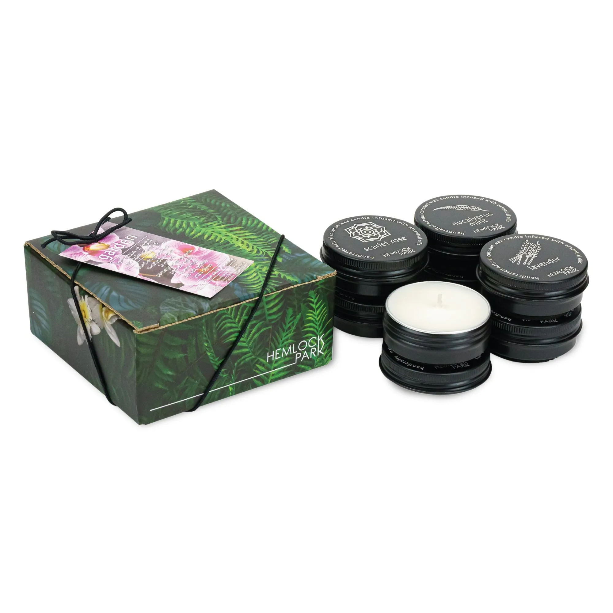 Tea Light Collection | Set of 8