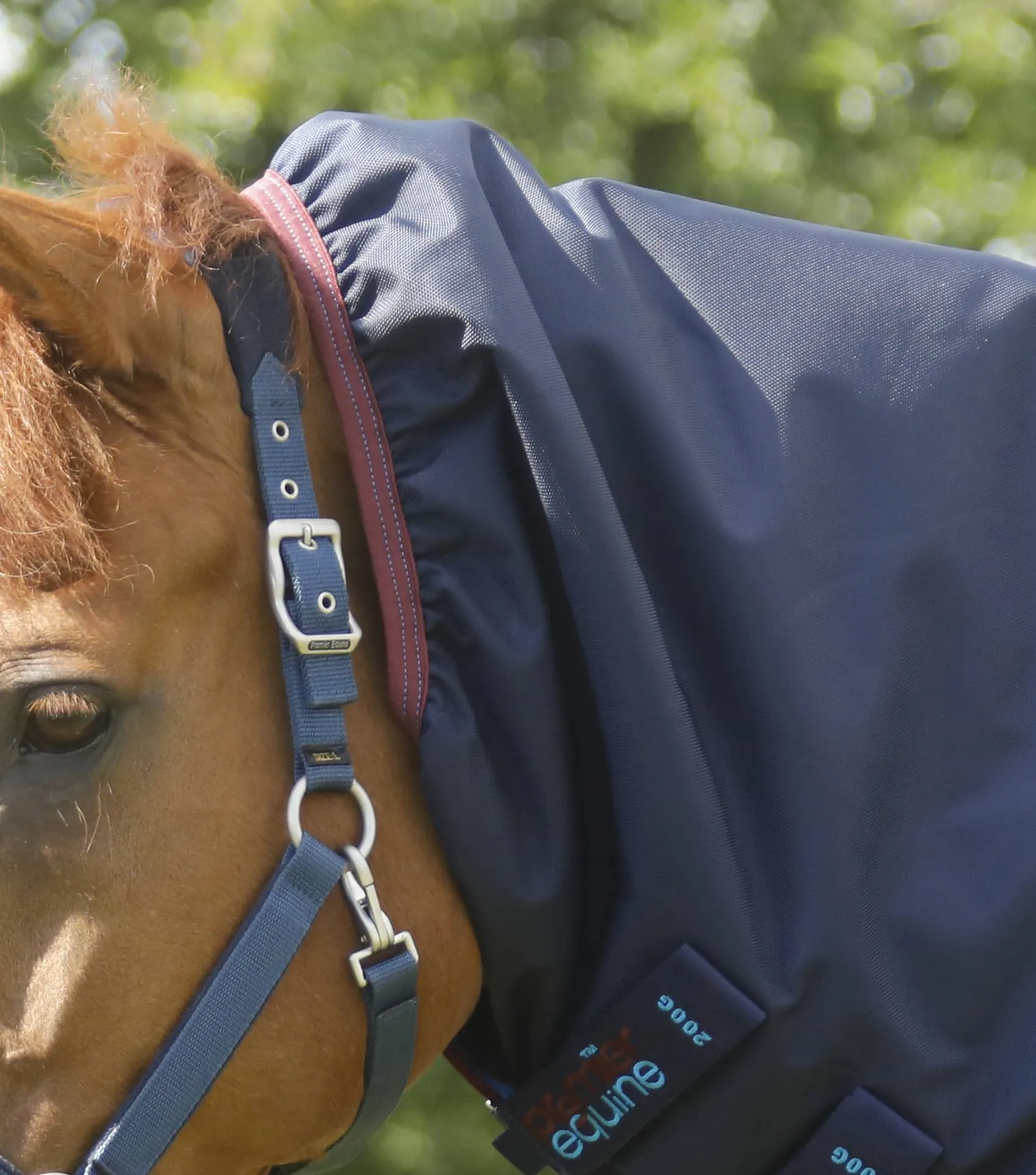 Titan Storm 200g Combo Turnout Rug with Snug-Fit Neck